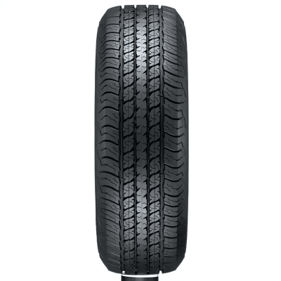 Lốp DUNLOP 265/65R17 GRANDTREK AT22